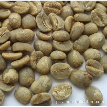 Feijão Verde Hali Typica